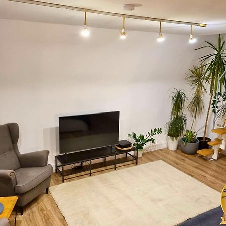 Apartament W Rynku 博莱斯瓦维茨 外观 照片