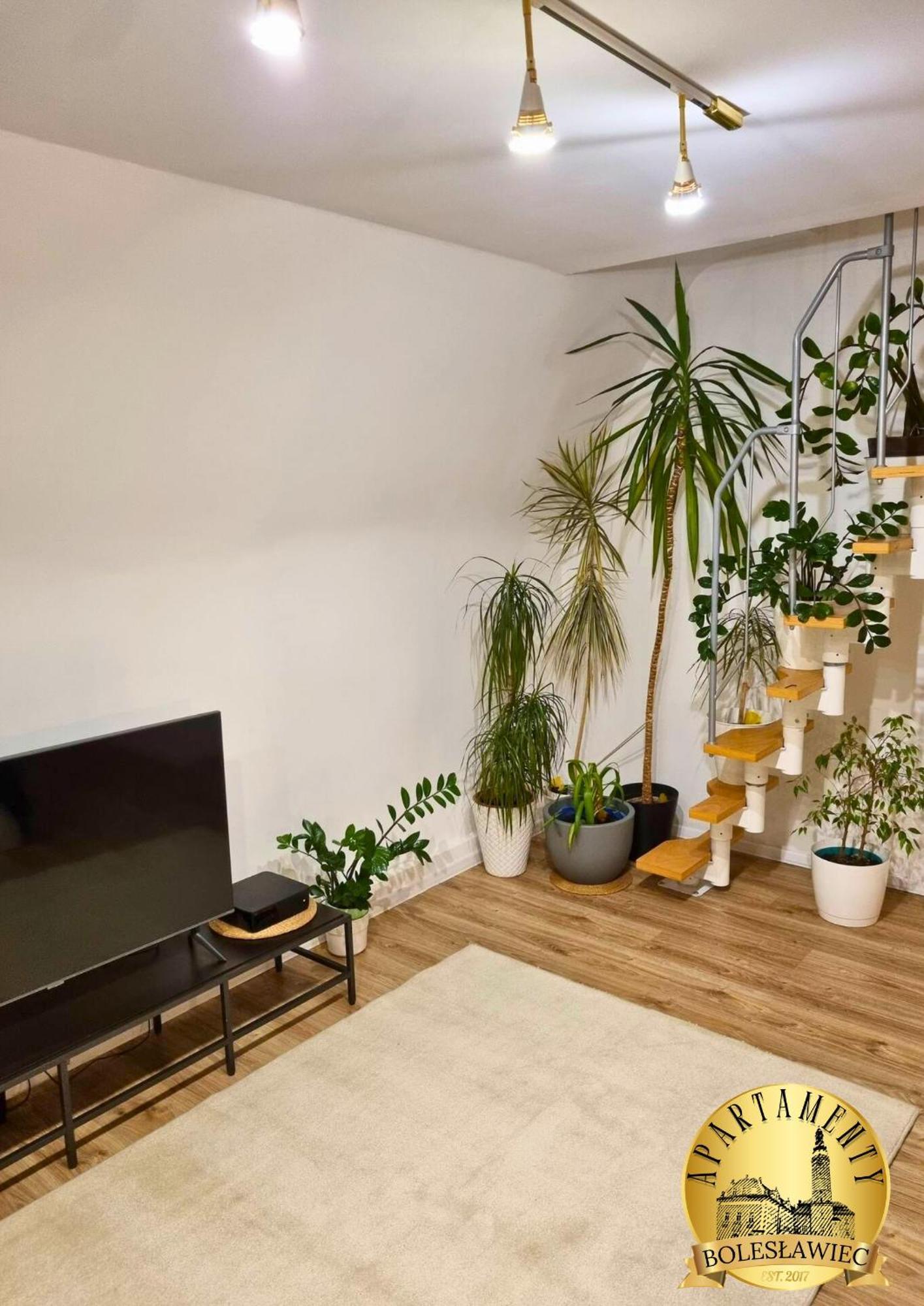 Apartament W Rynku 博莱斯瓦维茨 外观 照片
