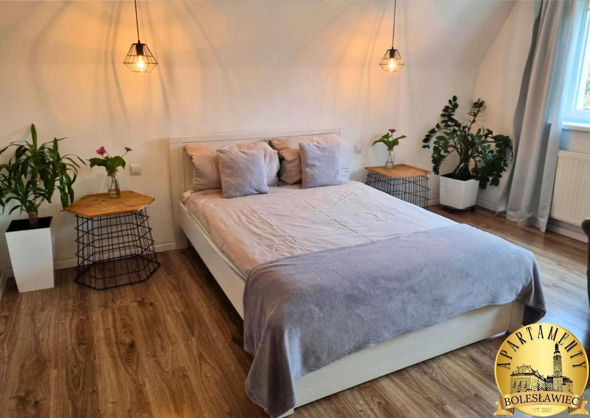 Apartament W Rynku 博莱斯瓦维茨 外观 照片
